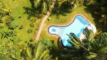 King Coconut Lodge