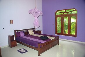 King Coconut Lodge