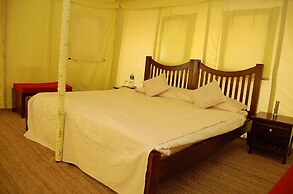 Royal Desert Camps