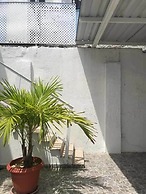Tropical Dreams