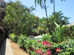 Paraíso Escondido