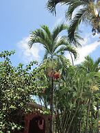 Paraíso Escondido