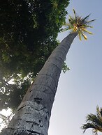 Paraíso Escondido