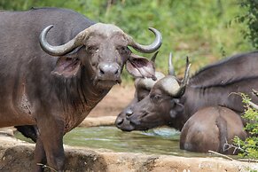 Panzi Lodge