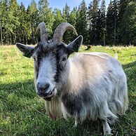 Smålandstorpet