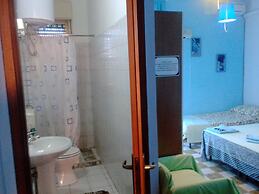B&B Minicurcu