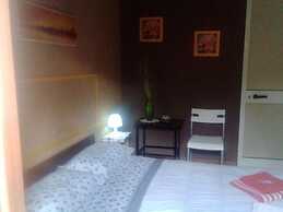 B&B Minicurcu