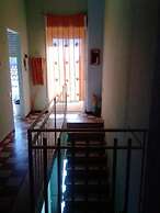 B&B Minicurcu