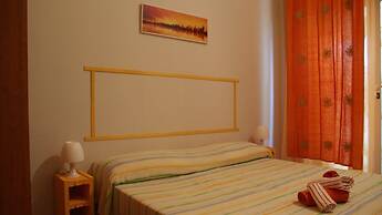 B&B Minicurcu