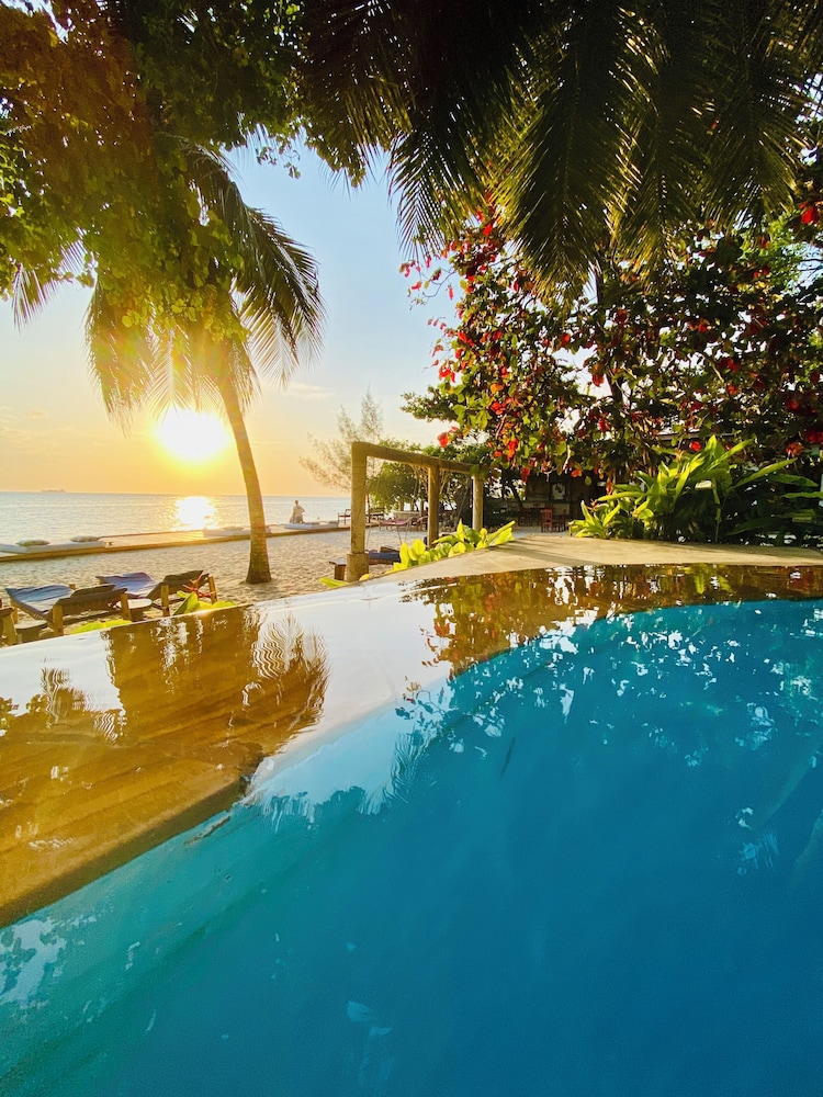 Mangrove Lodge
