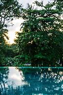 Treeline Urban Resort