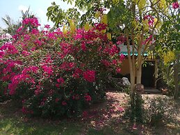 Pumaka Resort