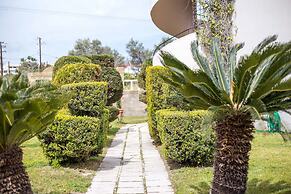 Jimmy's Garden