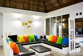 Casas Pelicanos