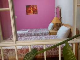 Hotel Shagul