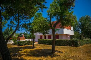 Paradise B&B