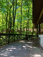 The Guest House Japan Hakuba