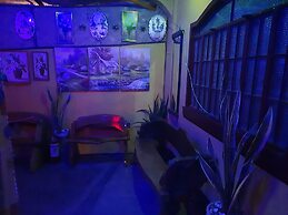 Carribean Transient House