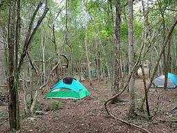 Campamento Yaaxche en Calakmul