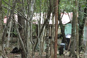 Campamento Yaaxche en Calakmul