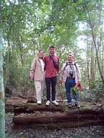 Campamento Yaaxche en Calakmul