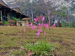 Wonboyn Lake Resort