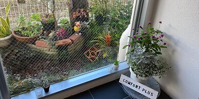 Comfort Plus