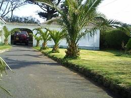 Camellia chalet