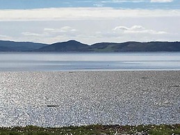 Broomlea