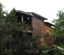 Wilpattu Tree House Hotel
