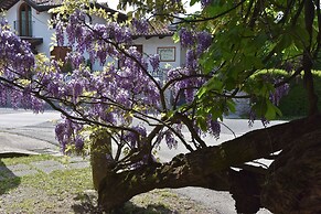 Al Vecchio Glicine - Bed & Breakfast