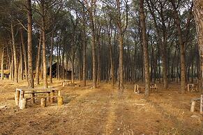 Falanto Camping Village