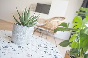 Ostend studio
