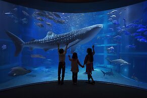 Universal Room