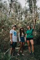 Levit Glamping