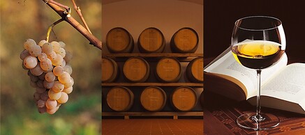 Agriturismo I Comelli