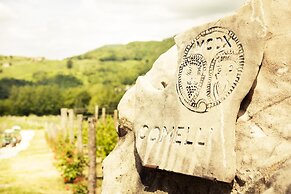 L'Uva e le stelle