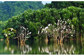 Tam Coc Eco Field Homes
