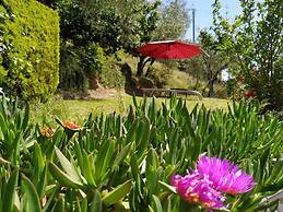 Il Murice B&B