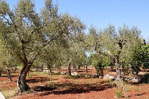 B&B Delle Rondini