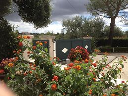 B&B Delle Rondini
