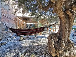 Mucha Masia Hostel Rural-Urbà