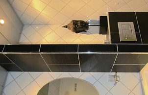 B&B de Valkenhorst