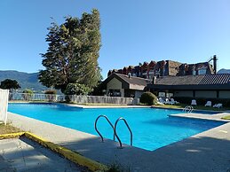 Apart Enjoy Pucon