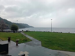 Apart Enjoy Pucon