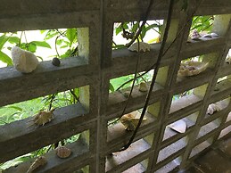 Pension Iriomote