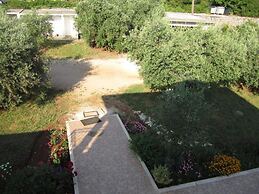 Apartments Biocic