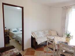 Apartments Biocic