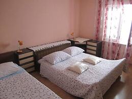 Apartments Biocic