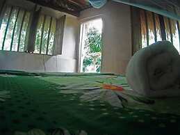 El Zopilote - Hostel
